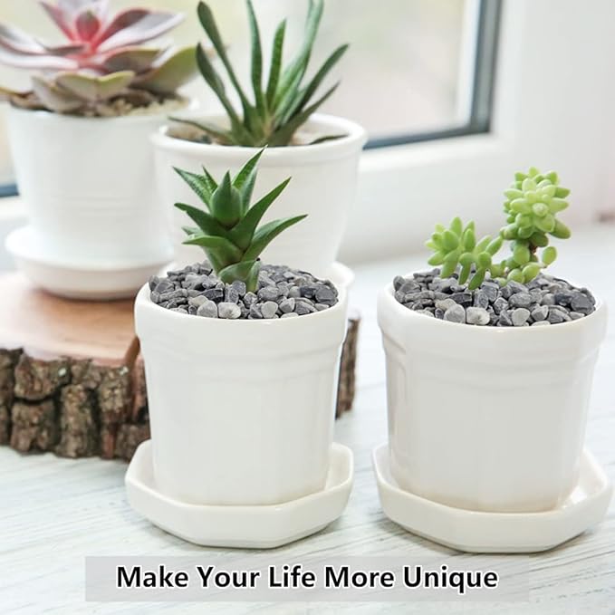 10LB Succulent and Cactus Gravel, 1/5 Inch Natural Decorative Polished Pebbles for Landscaping, Grey River Rocks for Plants, Vases, Aquariums, Terrarium and Outdoor Gardening