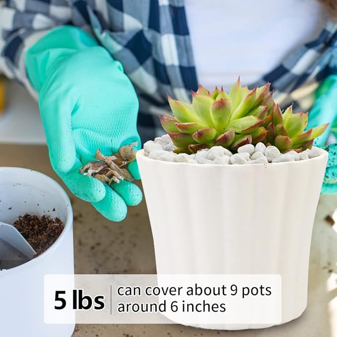 5LB Succulent and Cactus Gravel Pebbles, 1/5 Inch White Natural Decorative Polished Stones, River Rocks for Plants, Vases, Aquariums, Terrarium and Outdoor Gardening