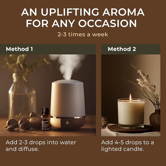 Gya Labs Cinnamon Essential Oil for Diffuser - 0.34 Fl Oz - 100% Pure Natural Cinnamon Bark Essential Oil for Skin, Hair, Lips Body & Candle Making Scent