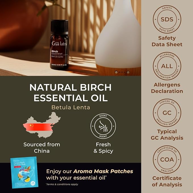 Gya Labs Birch Essential Oil for Diffuser - 0.34 Fl Oz - 100% Pure Natural Birch Oil for Skin, Massage, Perfumes＆Candle Making Scent