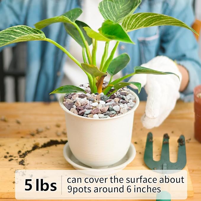 5LB Succulent and Cactus Gravel Pebbles, 1/5 Inch Natural Decorative Polished Stones, River Rocks for Vases Gardening Indoor and Outdoor Decorative Rocks, Colorful