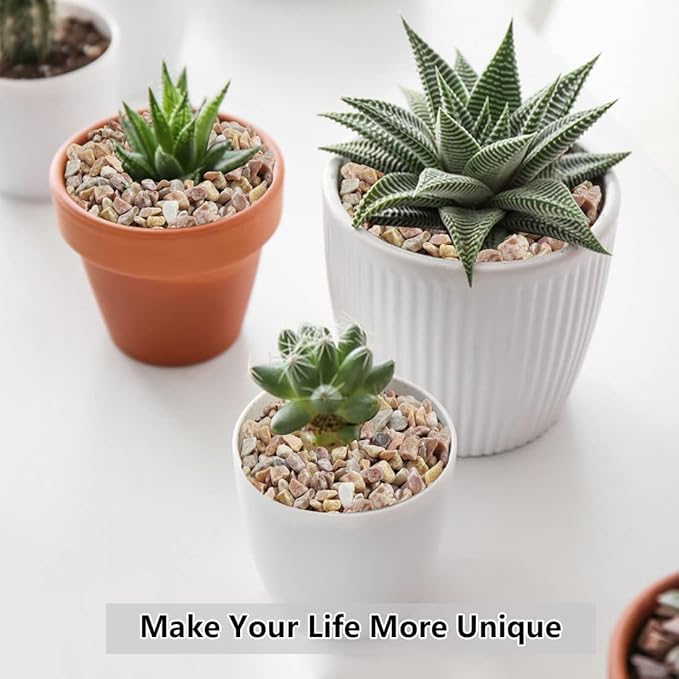 5LB Succulent and Cactus Gravel Pebbles, 1/5 Inch Natural Decorative Polished Stones, River Rocks for Plants, Vases, Aquariums, Terrarium and Outdoor Gardening,Peach