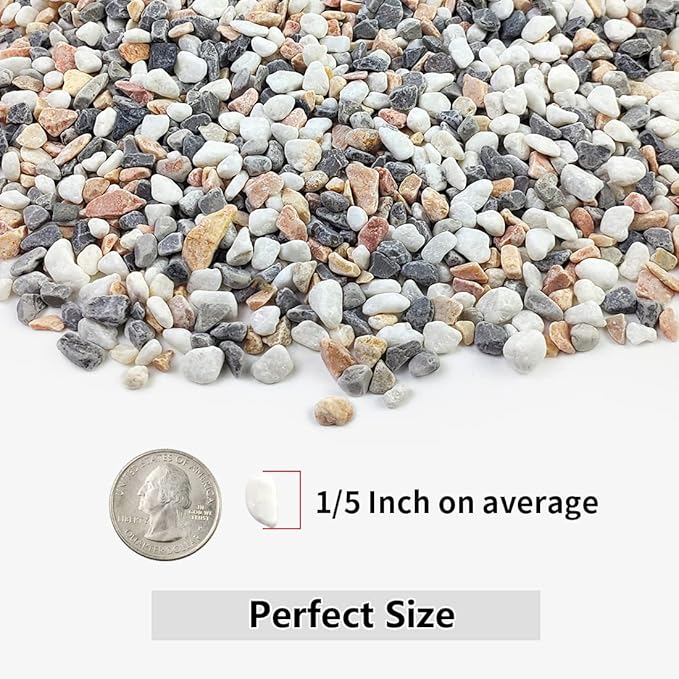 5LBS Succulent and Cactus Gravel Pebbles, 1/5 Inch Natural Decorative Polished Stones, River Rocks for Vases, Aquariums, Terrarium and Outdoor Gardening, Mixed Color