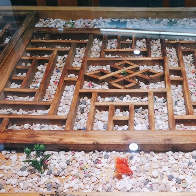 10LB Succulent and Cactus Gravel Pebbles, 1/5 Inch Natural Decorative Polished Stones, River Rocks for Plants, Vases, Aquariums, Terrarium and Outdoor Gardening,Mixed Color