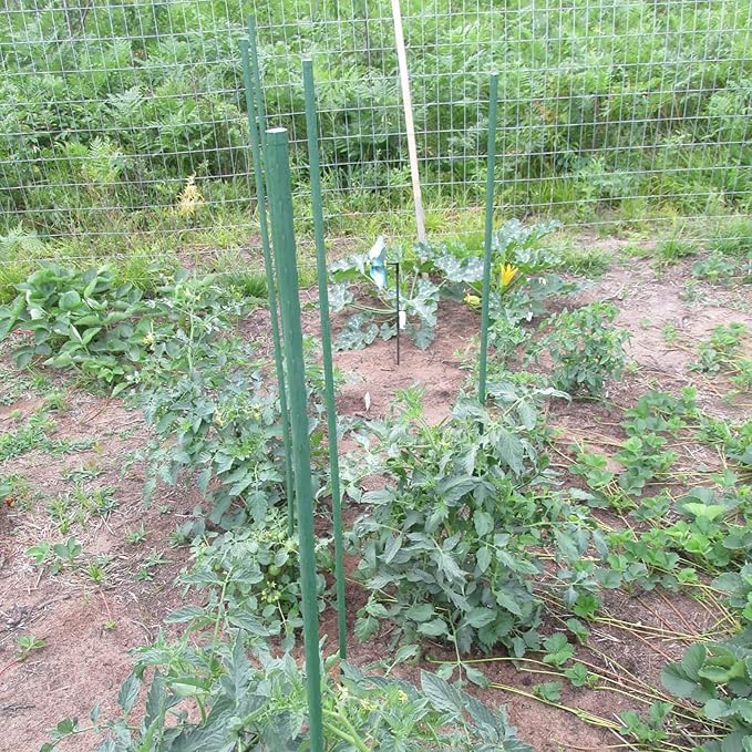 Garden Plant Stakes 36 Inch 3Ft Steel Plant Stick Support, 25 Pack Tomato Stakes for Growing Climbing Plants, Potted Plants, Tomatoes, Trees, Cucumber, Beans, Fences Poles