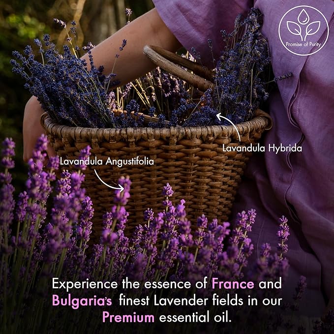 Majestic Pure Lavender Essential Oil with Glass Dropper - 4 Fl Oz Pack of 2-100% Pure and Natural Lavender Oil - Premium Grade Essential Oils for Diffuser, Aromatherapy, Soap and Candle Making