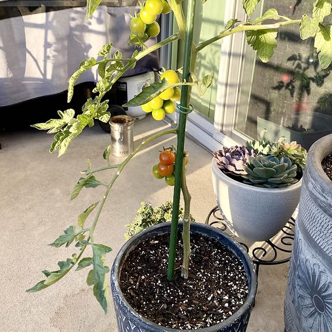 Garmeinea Garden Stakes 36 Inches Plastic Coated Steel Plant Stakes for Growing Climbing Plants, Pack of 25